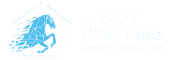Swift Express
